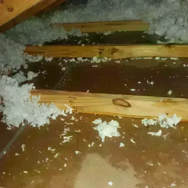 Attic Water Damage in Athens, TX