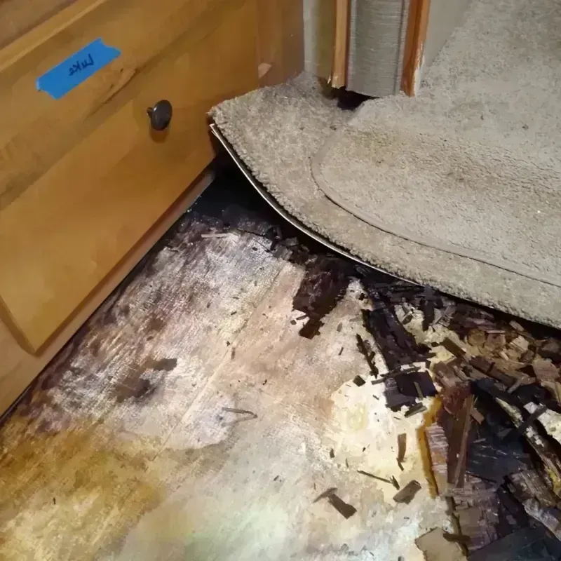 Wood Floor Water Damage in Athens, TX